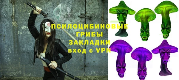 тгк Лиски