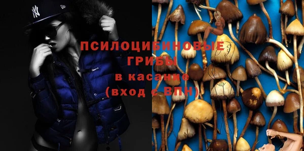 тгк Лиски