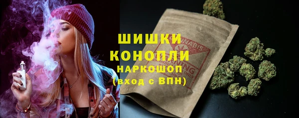 тгк Лиски